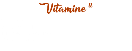 Vitamine ii SEXE : Jument RACE : Poney Belge NAISSANCE : 03 août 1996 ROBE : Noir pangaré 