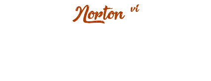 Norton vi SEX : STALLION RACE : French saddlee (born in Swizerland) BIRTHDAY : 25 july 1995 COAT COLOR : Brown bai 