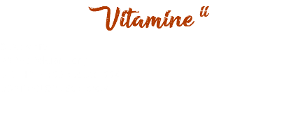 Vitamine ii SEX : Mare RACE : Belgian pony BIRTHDAY : 03 august 1996 COAT COLOR : Seal brown 